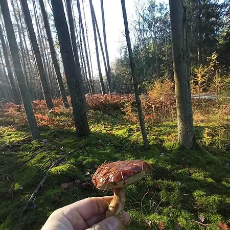 Nad Jeziorem בית נופש Kujan